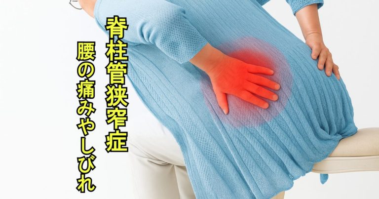 腰を押さえて痛みを感じる高齢女性の後ろ姿