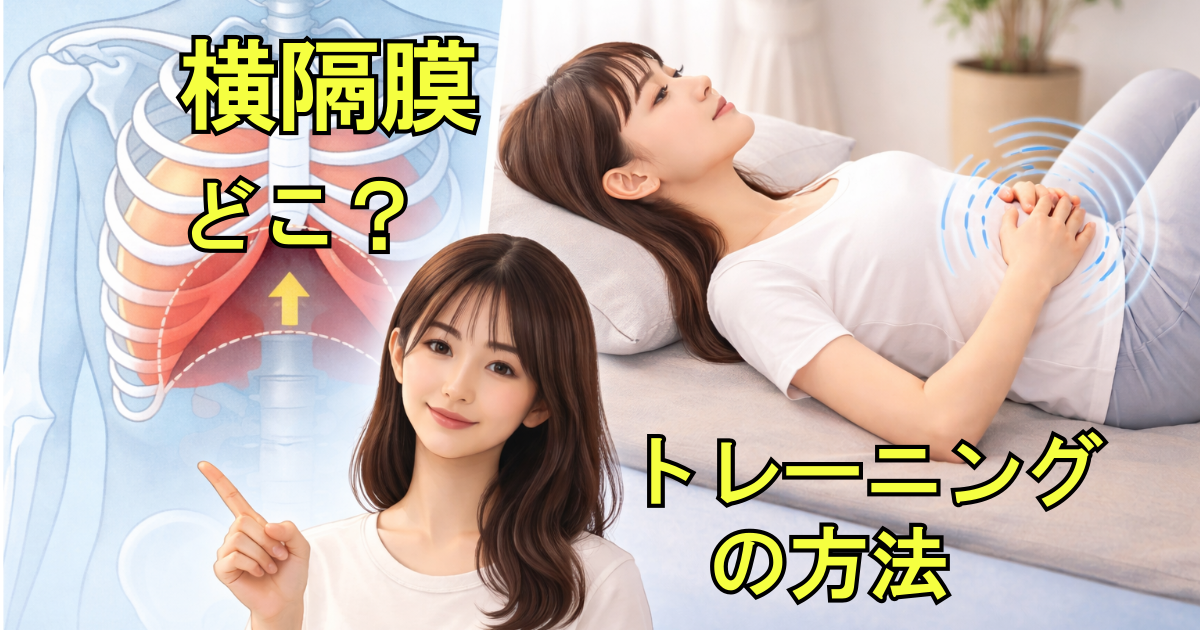 横隔膜の位置と呼吸による動きをイメージした写真風画像